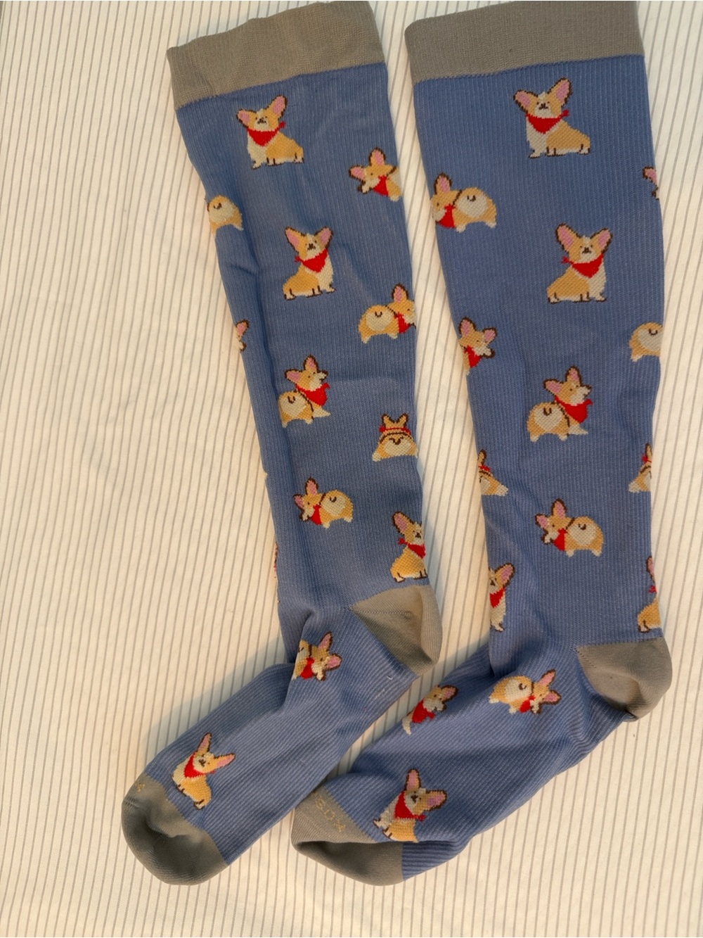 Blue Corgi Pattern compression sock